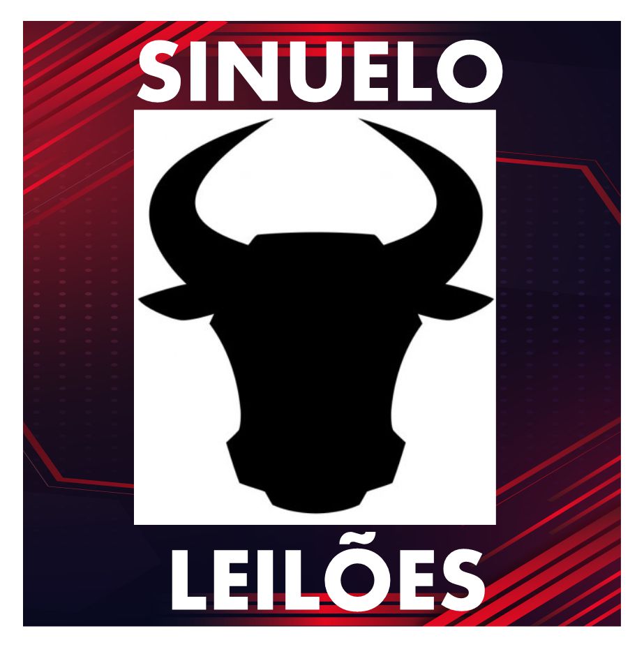 Sinuelo Leilões