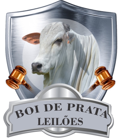 BOI DE PRATA